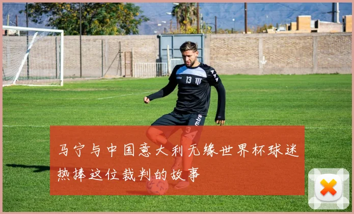 马宁与中国意大利无缘世界杯球迷热捧这位裁判的故事